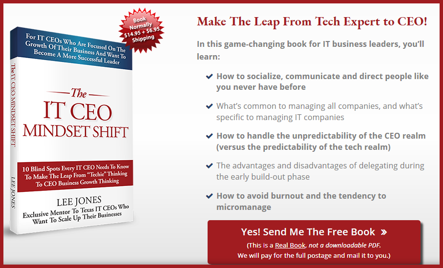 IT CEO Mindset Book